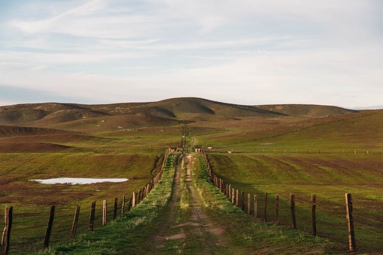 Land and site for Glamping business planning