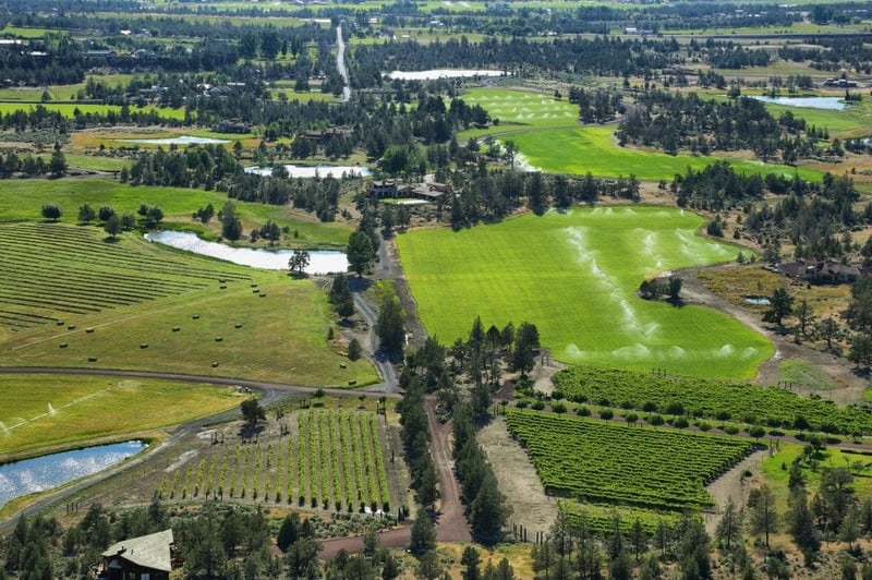 Birdseye View of Glamping Site Landscape