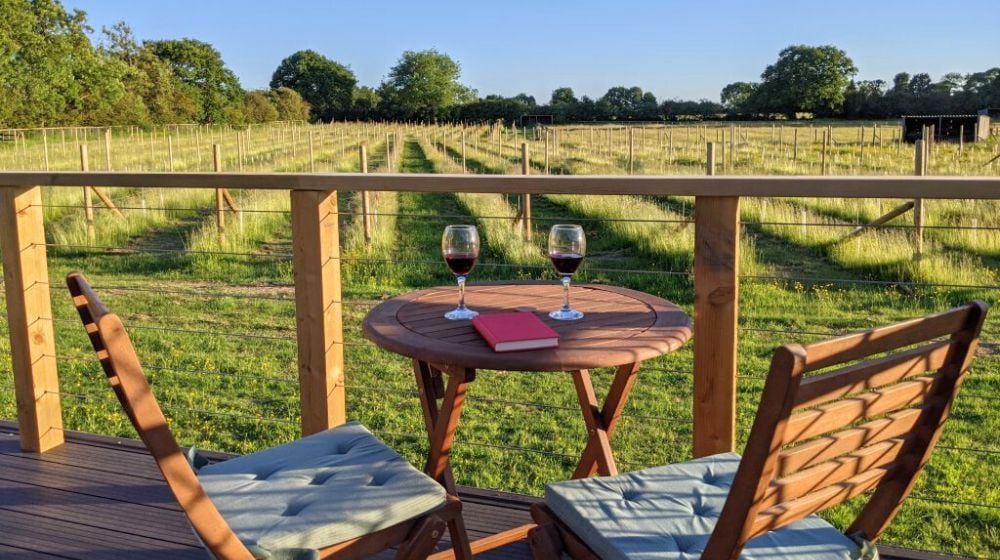 Glasses of wine overlooking field