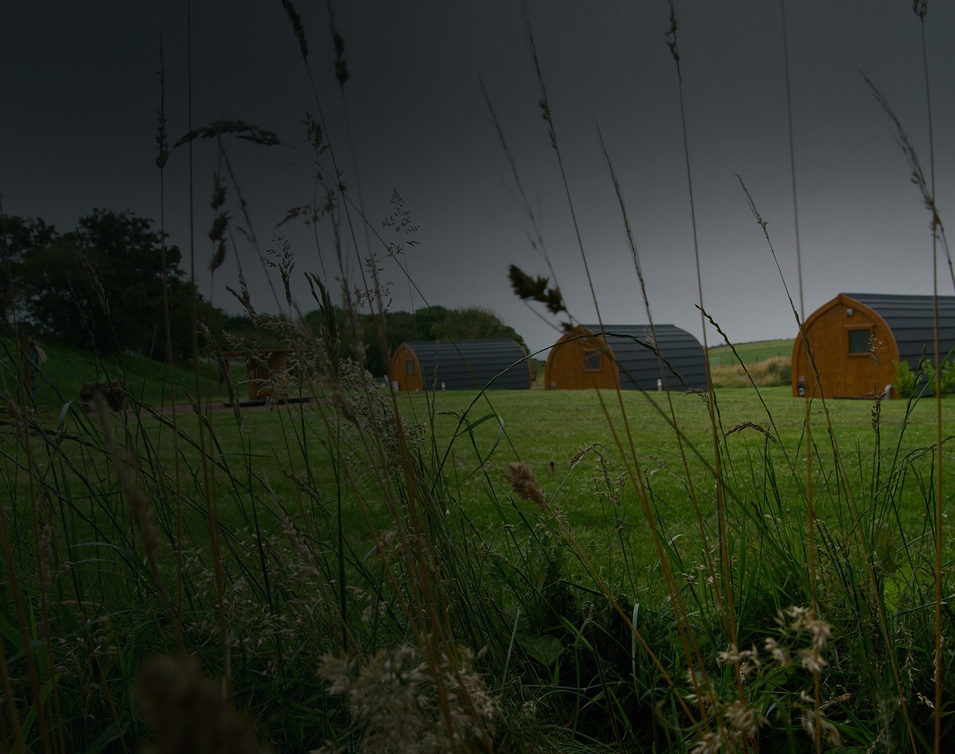 Glamping Startup Costs How Much to Start a Glamping Business In North